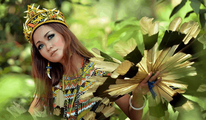 Motif Dayak  Tato, Baju Adat, Batik, Wanita, Kebudayaan 