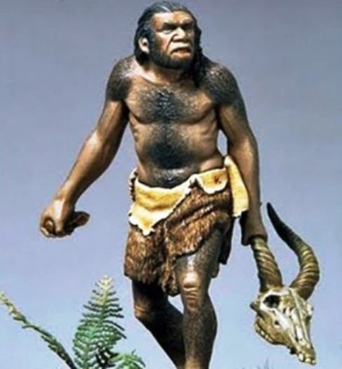 Homo Soloensis