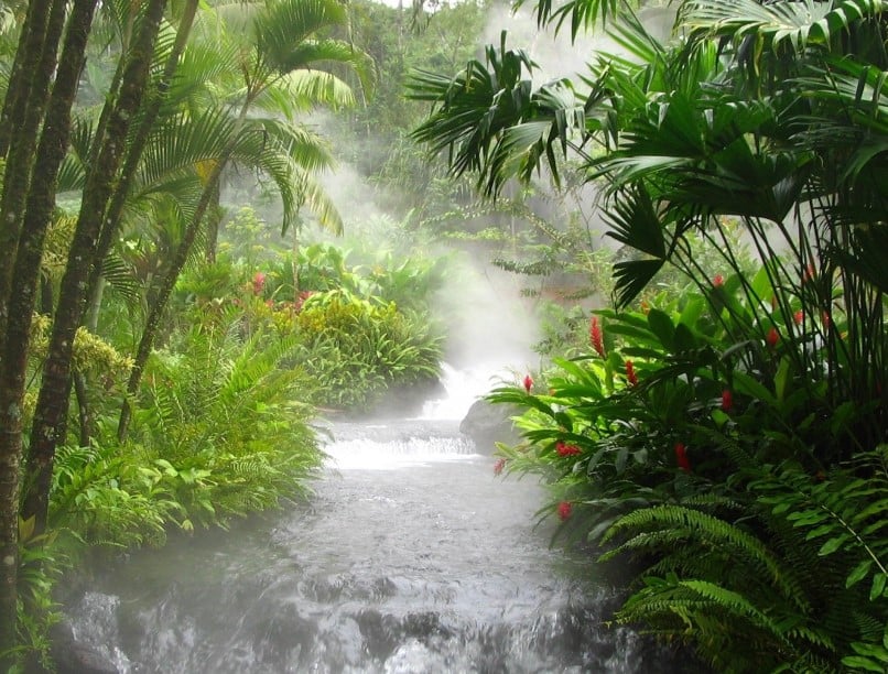 22+ Keren Abis Gambar Pemandangan Air Terjun Hitam Putih