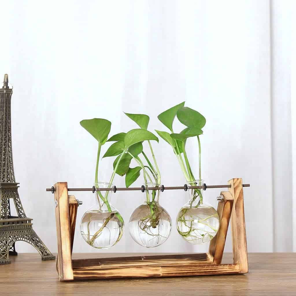 gambar Clear Glass Vase Glass Terrarium Creative Bottle Plant