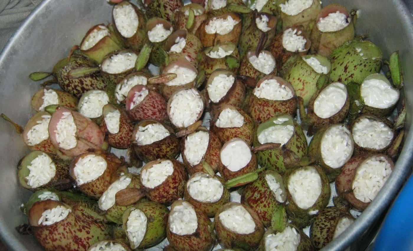 gambar makanan khas kalimantan barat Kue Kantung Semar