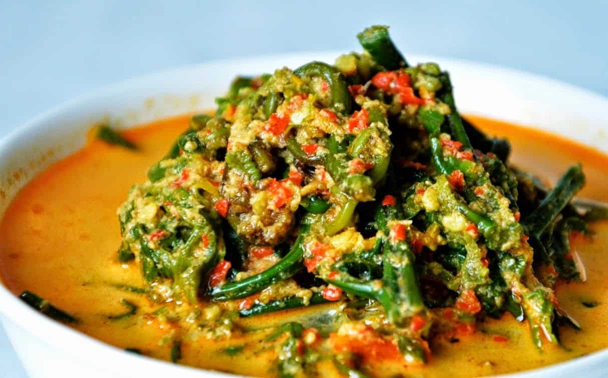 gambar makanan khas sumatera barat Gulai Paku