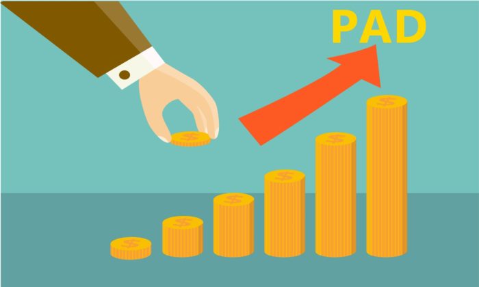 gambar pendapatan asli daerah