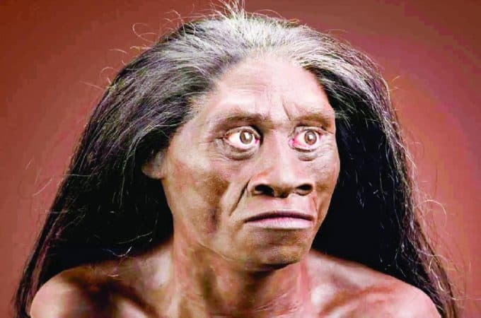 manusia purba homo floresiensis